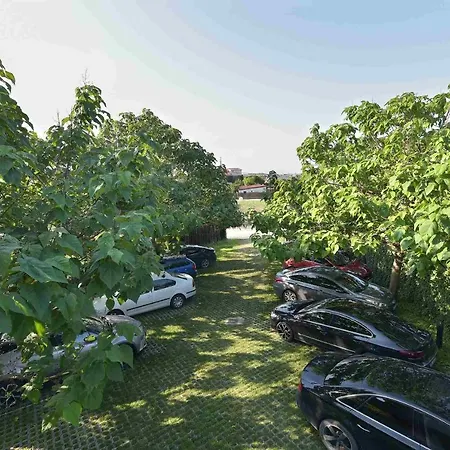 Zen Вама-Веке